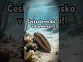 Československo v období Karbonu!#dinosaur #prehistory #czech