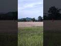 Lapangan bola dengan views pegunungan.