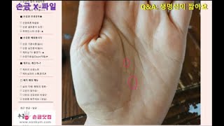 [손금X-파일] 짧은 생명선을 가졌는데 괜찮을지?