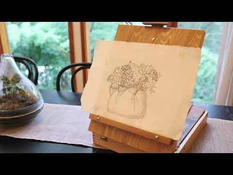 Artist On Everest Video Tour