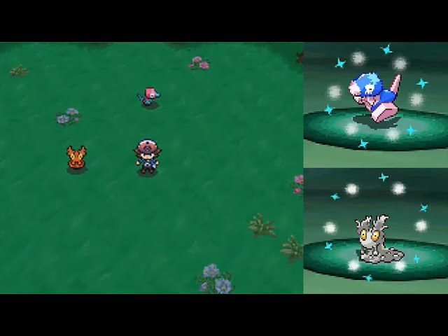 Pokémon Black 2 - Entree Forest Snover from Pokémon Dream World