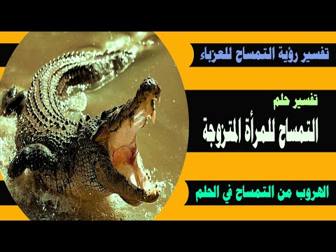 تفسير حلم التمساح لإبن سيرين المتزوجة العزباء الرجل