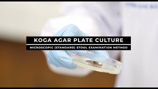 Koga Agar Plate Culture