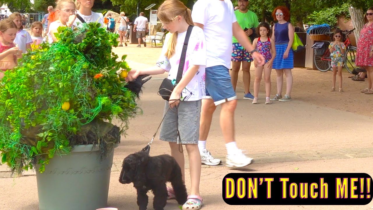 BEST BUSHMAN PRANK 2025 : BABY GIRL HAD NO IDEA IT WASN'T REAL🙈😭