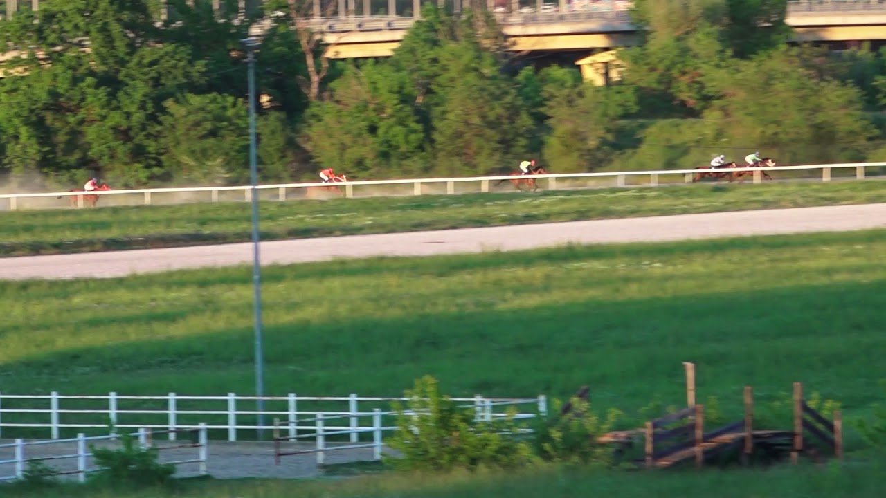 Trka Piccolo Party - 09.05.2021. - Hipodrom Beograd