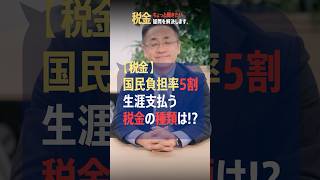 人生で支払う税金て何種類あるのか!?税理士が解説　#国民民主党 #日本維新の会 #石破総理  #自民党 #商品券