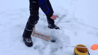 Perch fishing Mendota 1