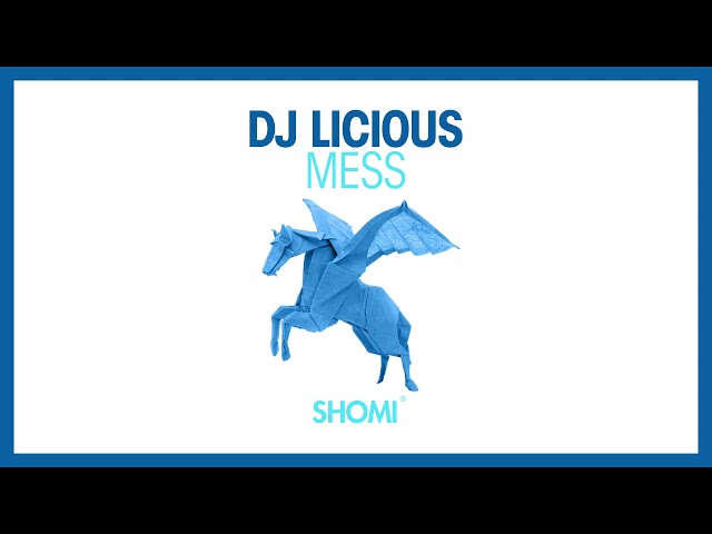 Dj Licious - Mess