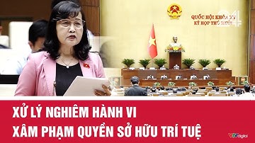 Xử lý nghiêm hành vi xâm phạm quyền sở hữu trí tuệ | VTV24