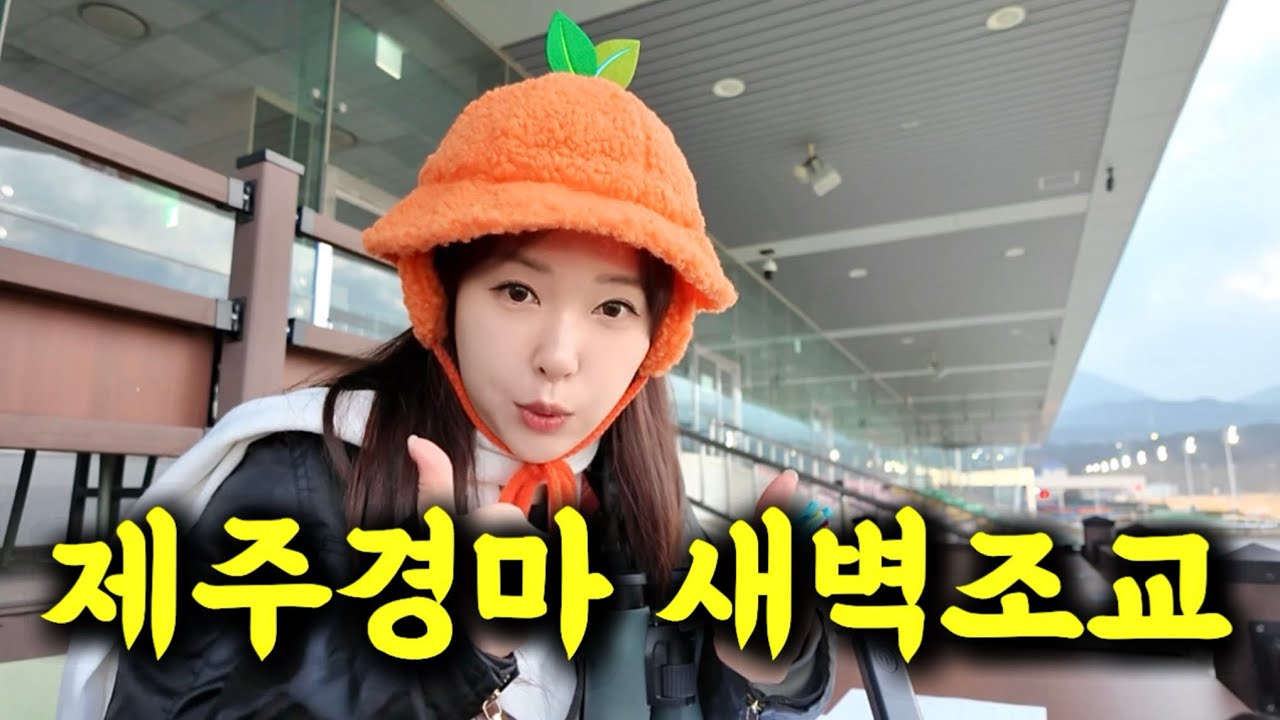 🍊제주복병헌터🍊경마아나가 제주 새벽조교 다녀왔습니다❤️