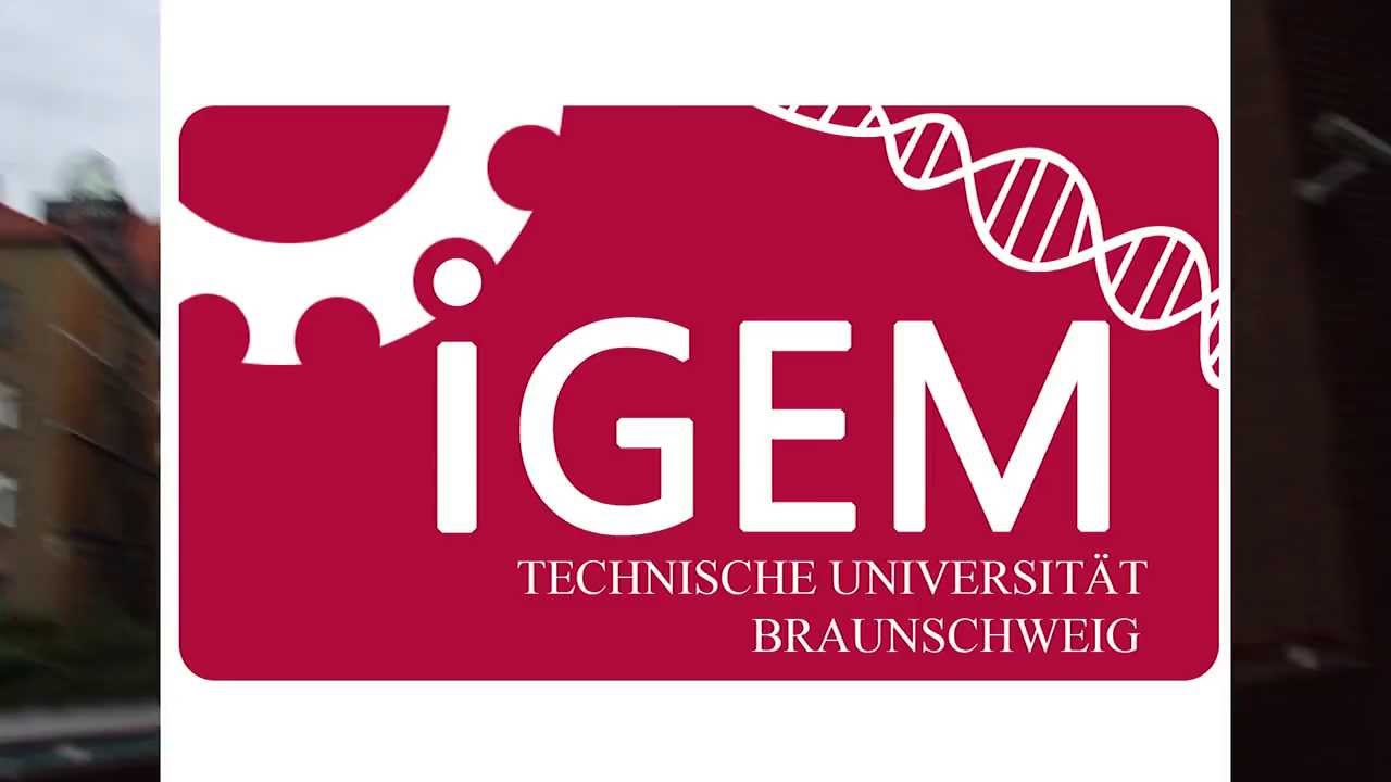 iGEM Braunschweig 2013 - Engineering a synthetic microbial consortium