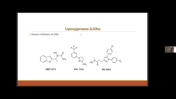Structure Meets Function 32 | Instruct and ISIDORe Webinar