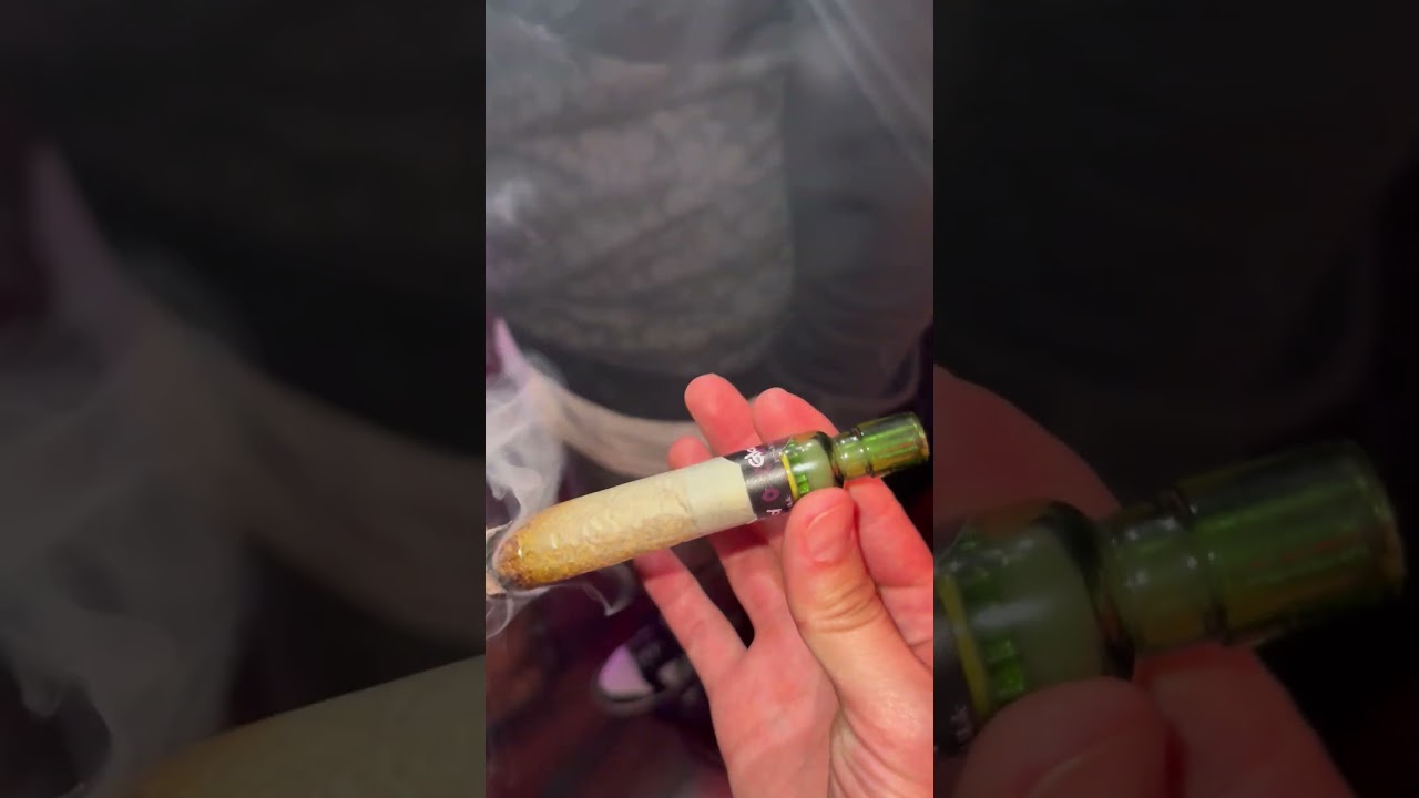 CaliPlug at Catch LA with Curren$y 