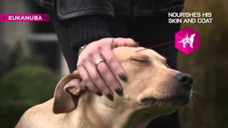 Eukanuba Cucciolo Per Un Inizio Straordinario