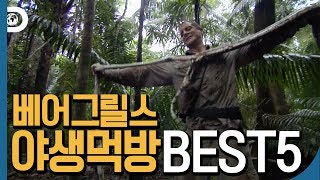 베어그릴스의 JMT 야생 먹방 TOP 5 ! 토끼부터 보아뱀까지 다 잡아먹음 [Man vs Wild ]