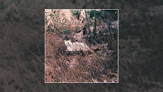 BEST ALBUMS | Seeress – The Dream Passes