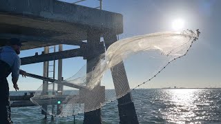 How to catch bait in Tampa Bay!
