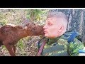 Baby Moose Approaches Soldier In Forest, Then He Realises He’s Trying To Tell Him Something