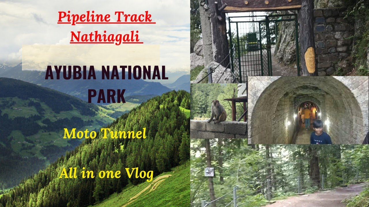 Pipeline Track Nathiagali/Dongagali |Ayubia National Park| |Moto Tunnel All in one Vlog