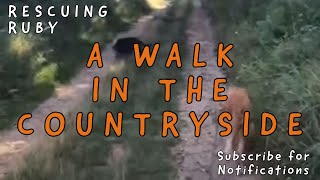 A walk in the countryside | Sofia (Supermomma) from Takis shelter