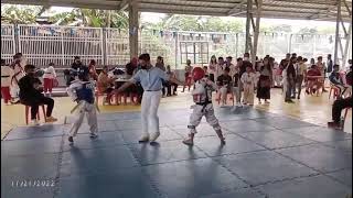 Bim's Championship Game (Gold Medalist)