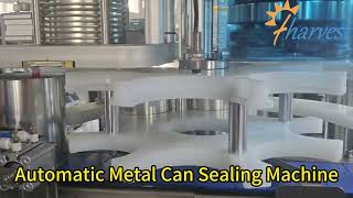Revolutionizing Canning: Fully Automatic Servo Seamer for Airtight Metal Can Seals #cansealer