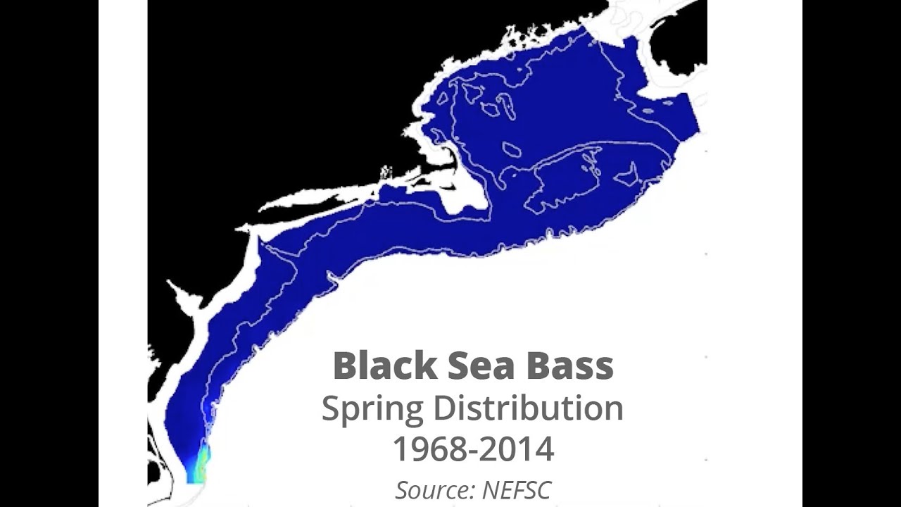 State of the Environment of the Black Sea 2009-2014/5