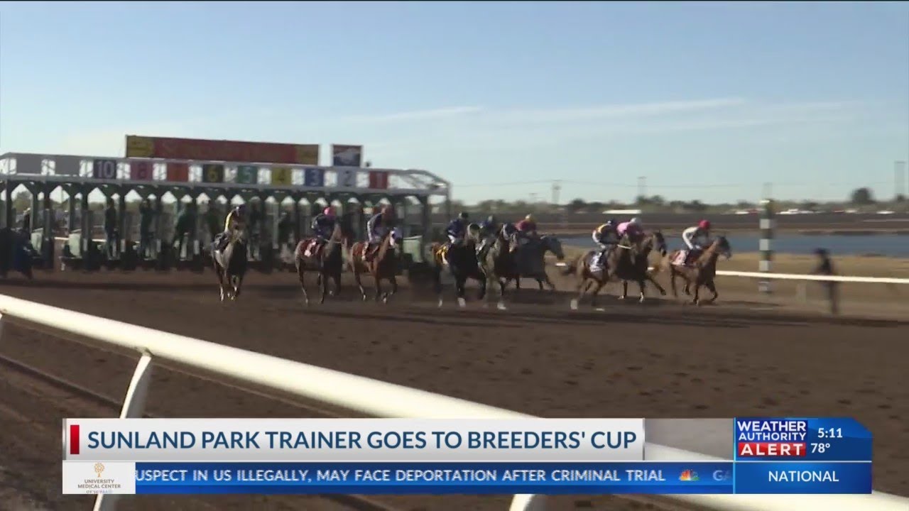 Sunland Park Trainer Goes to Breeders' Cup YouTube