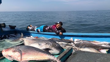 Tập 3: cuộc chiến cá bè quỵt,  Jig bầy cá thu tại các giàn khoan rạng đông