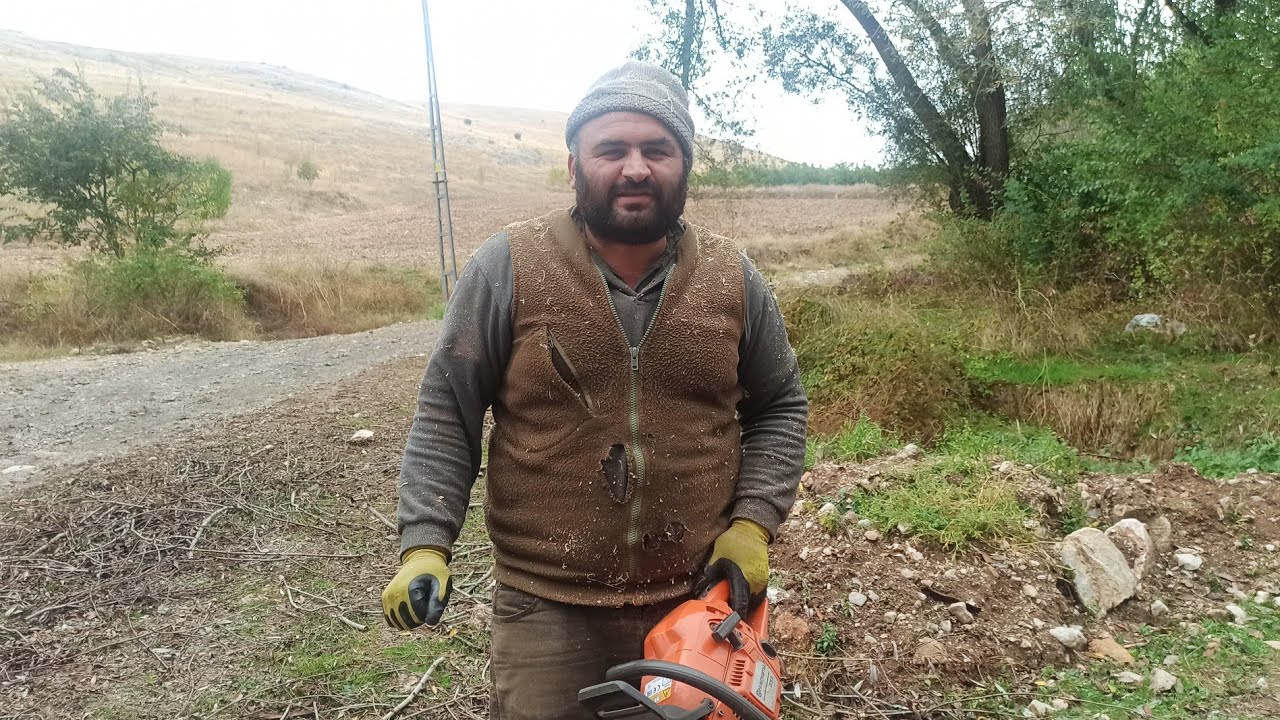 Ağaç 🌲 odun kesme 20231019