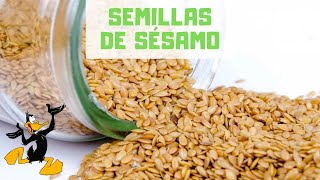 10 Propiedades del Sésamo o Ajonjolí  ¡BENEFICIOS!