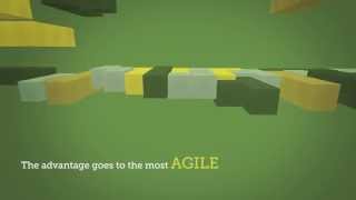 Designing for Organizational Agility