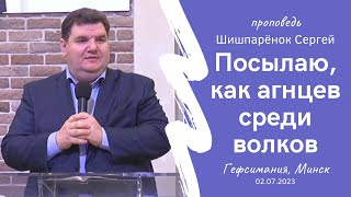 Шишпаренок Сергей | Посылаю, как агнцев среди волков | 02.07.2023