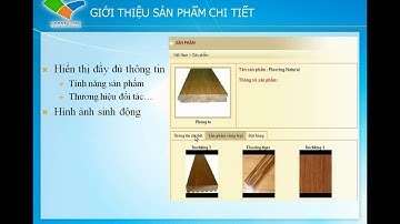 Vivi.vn Video tư vấn thiết kế website ván sàn trên nền tảng cao cấp Bitrix
