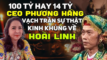 100 Tỷ Không Phải 14 Tỷ CEO Phương Hằng Vạch Trần Sự Thật Kinh Khủng Về Hoài Linh, Quất Không Trượt