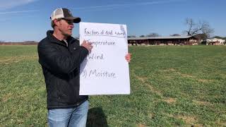 Cold Stress in Sheep and Goats