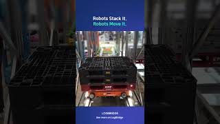 Robots Stack It, Move It, and Store It | TSPG 4-Way Shuttle System Explained