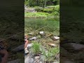そんな単純な理由で水族館？