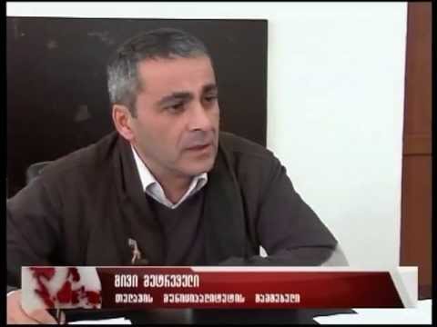 გივი მეტრეველის ქონებრივი დეკლარაცია