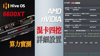 AMD 6600XT HiveOs 算力实测｜和nVIDIA 多卡多软件混挖 详细设置｜HiveOs Mix Miner