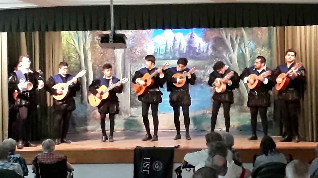 Nube gris / Tuna de la Universidad San Ignacio de Loyola / V FITUSAN