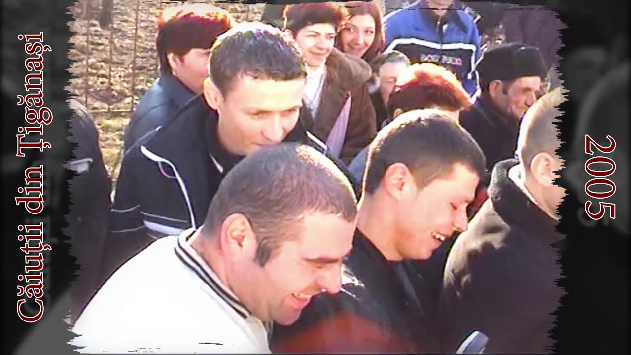 Căiuții din Țigănași 2005