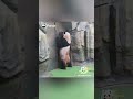 Is This You Waiting At A Vending Machine? | iPanda #shorts