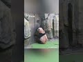 Is This You Waiting At A Vending Machine? | iPanda #shorts