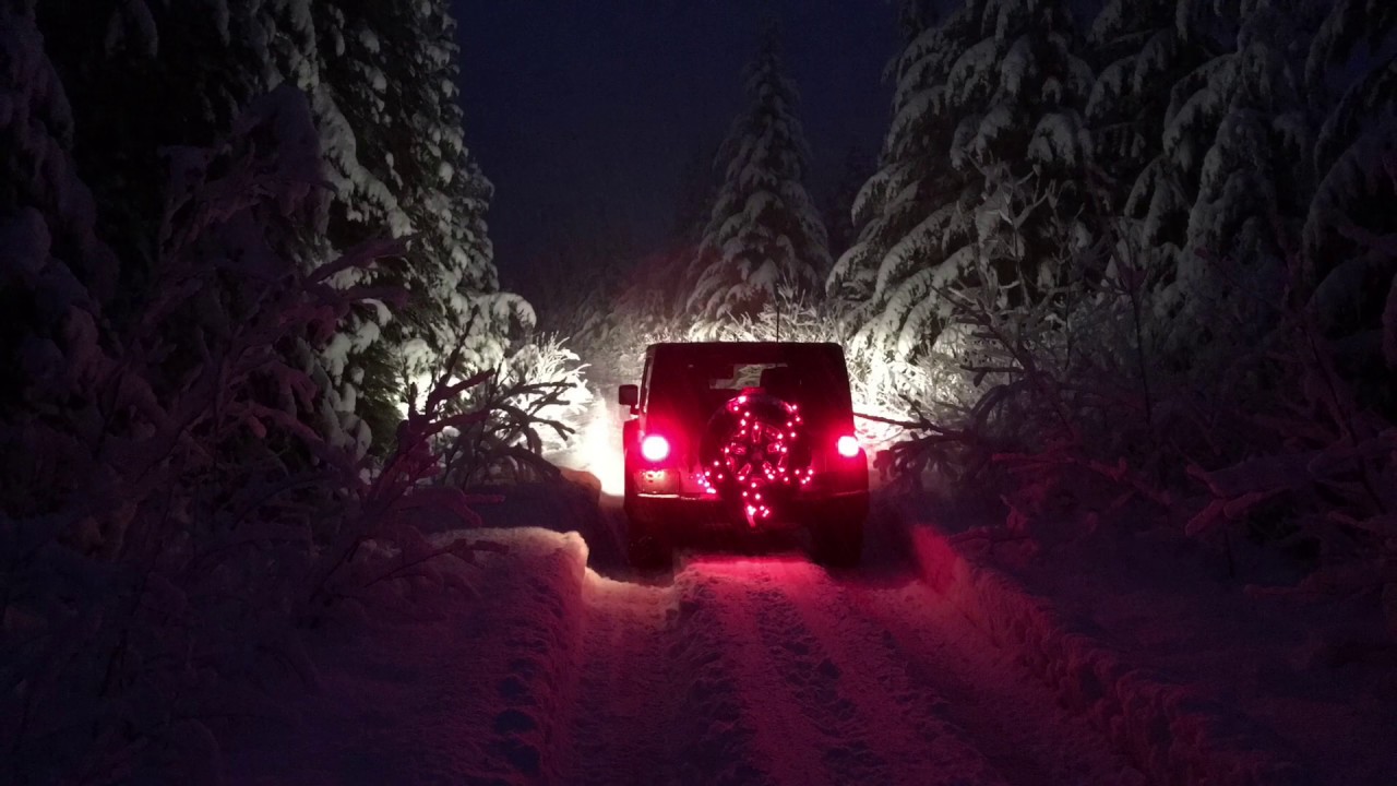 Christmas Tree Run 2015 YouTube