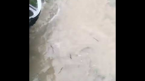 Jat ke ulte kam  hum chore jaat sa song