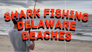 Surf Fishing Broadkill Beach Delaware for Sharks Small Wonder Series Season Two Episode One