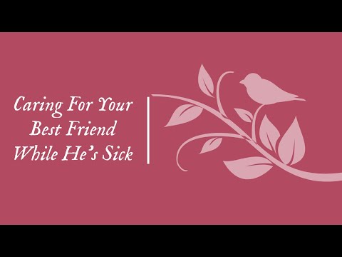 M4A Caring For Your Sick Best Friend Reverse Care Comfort Aren T You Busy Sweet 