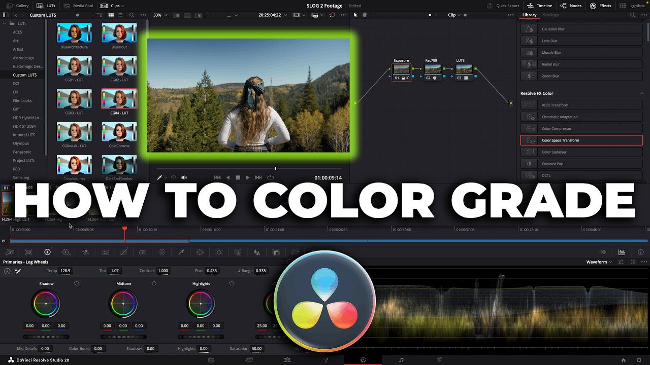 SONY A7III CINEMATIC VIDEO? S-Log2 COLOR GRADING Breakdown (FREE LUTS!)