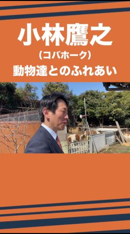 動物達とふれあいました!